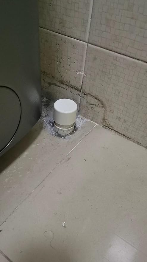 PVC Pipe End Cap Fitting Furniture Grade PVC Pipe End Cap Plug Adapter (2 inch (6 Pack))