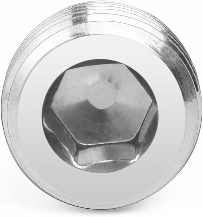 ChillWaves 304 stainless steel Pipe Fitting, Internal Hex Head Socket Pipe Plug Fitting，3/4" NPT Male，Thread Adapter(6-PACK)