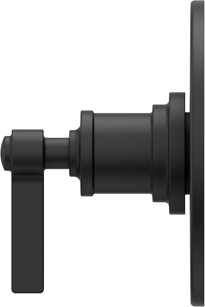 Pfister R89-1WN Winter Park Pressure Balanced Valve Trim Only with Single Lever Handle - Less Rough In - Brushed Gold