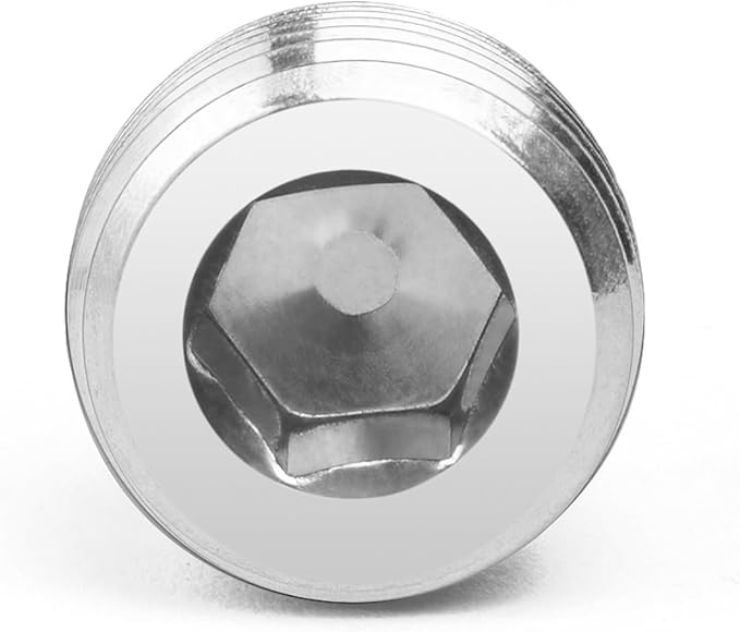 ChillWaves 304 stainless steel Pipe Fitting, Internal Hex Head Socket Pipe Plug Fitting，1/2" NPT Male，Thread Adapter(6-PACK)