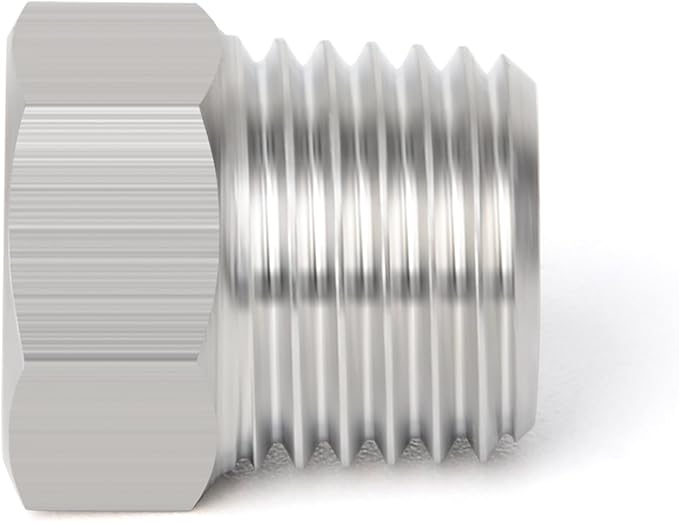 TAISHER 2PCS Stainless Steel Outer Hex Thread Socket Pipe Plug Fitting 1/4" NPT Male