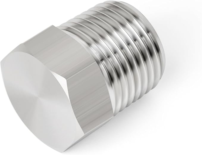 TAISHER 10PCS Stainless Steel Outer Hex Thread Socket Pipe Plug Fitting 1/4" NPT Male