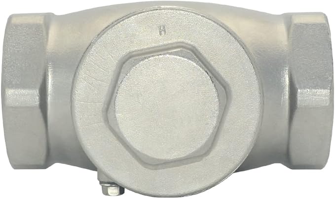 VARMHUS Stainless Steel SS316 Swing Check Valve,NPT Female x Female Thread,WOG 200 PSI PN16 CF8M (2")