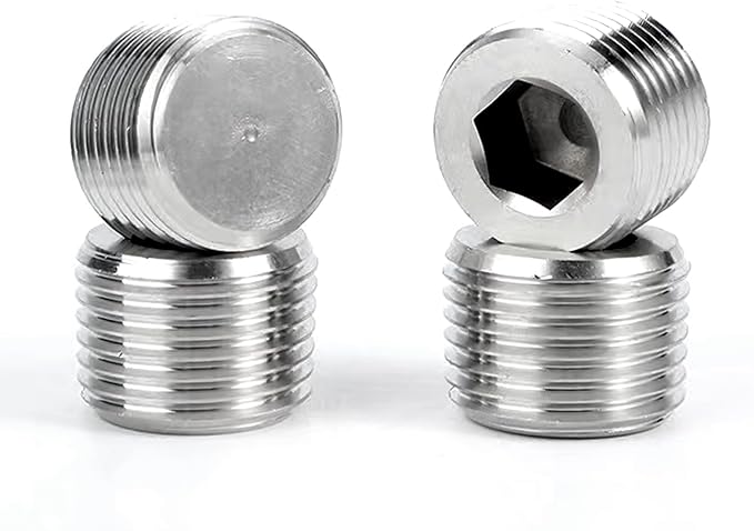 Stainless Steel 304 Hex Socket Plug, 1/16" NPT Male, Pack of 10