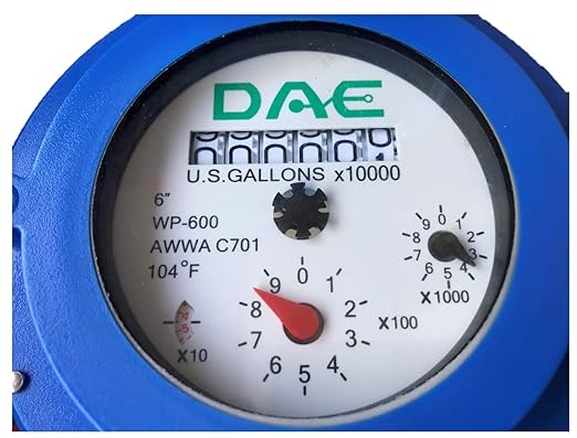 DAE WP-600P 6" Woltmann Helix Water Meter, Pulse Output, Gallon