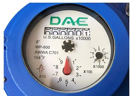 DAE WP-800P 8" Woltmann Helix Water Meter, Pulse Output, Gallon
