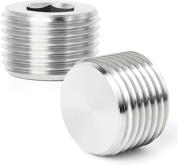 TAISHER 10PCS 304 Stainless Steel Internal Hex Thread Socket Pipe Plug Fitting 3/8" NPT Male