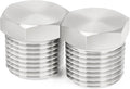 ChillWaves 304 Stainless Steel Pipe Fitting, Outer Hex Head Socket Pipe Plug Fitting，1-1/2" NPT Male，Thread Adapter(2-PACK)