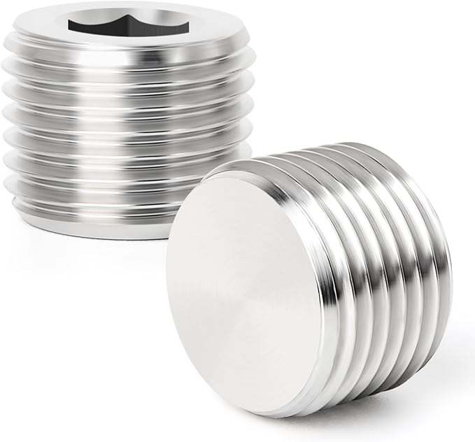 TAISHER 20PCS 304 Stainless Steel Internal Hex Thread Socket Pipe Plug Fitting 1/8" NPT Male