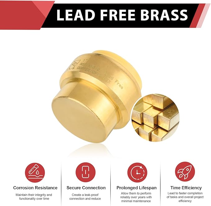 EFIELD 1 Inch Plug End Cap Push-Fit Fitting to Connect Pex, Copper, CPVC with a Disconnect Clip,(PF101)