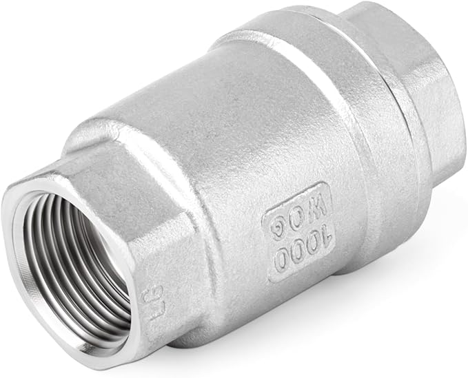 TAISHER 2PCS 304 Stainless Steel 1" NPT Female Vertical Check Valve，Backflow Prevention, One Way Spring Check Valves CF8 WOG 1000