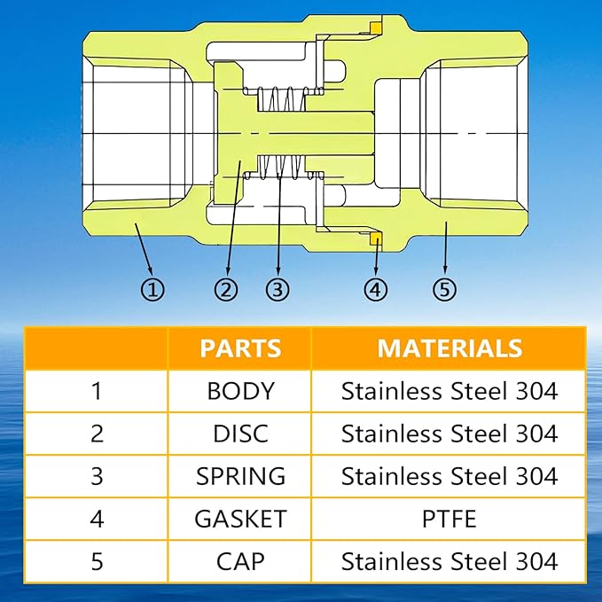 Boltigen 2 inch Spring Check Valve, 304 Stainless Steel CF8 Non Return One Way Horizontal Check Valve, Vertical Inline Water Check Valve for Well, Pump, Tank, Backflow Prevention, WOG 1000