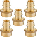 HeSun 5-Pack PEX-A Fitting, Pex Expansion 3/4 Inch Female Thread Adapter,3/4" Female NPT x 3/4" Pex Expansion Adapter,ASTM F1960