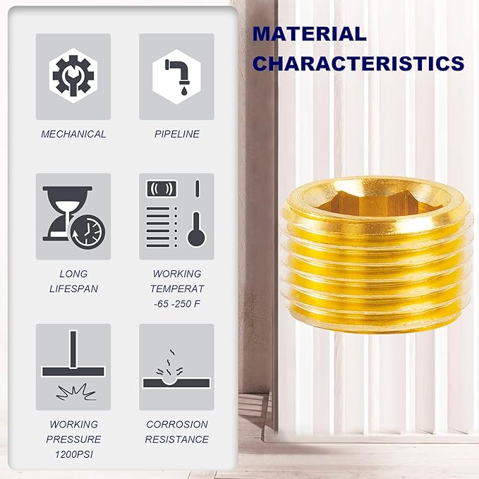 ChillWaves Brass Pipe Fitting, Internal Hex Head Socket Pipe Plug Fitting 1/8" NPT Male Thread Adapter(12-PACK)