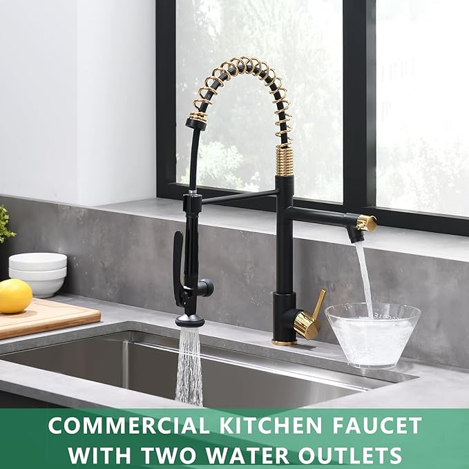 Fapully Black&Gold Kitchen Faucet with Sprayer,Commercial Pull Down Kitchen Faucet for Kitchen Sink