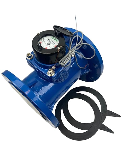 DAE WP-600i 6" Wastewater, Irrigation Water Meter, Pulse Output, Gallons