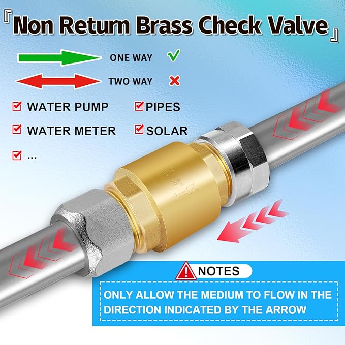 Boltigen 2Pcs 3/4in NPT Spring Check Valve, Brass Non Return One Way Check Valve, Vertical Inline Water Backflow Preventer for Well, Pump, Tank (3/4" Male x 3/4" Male(DN20))