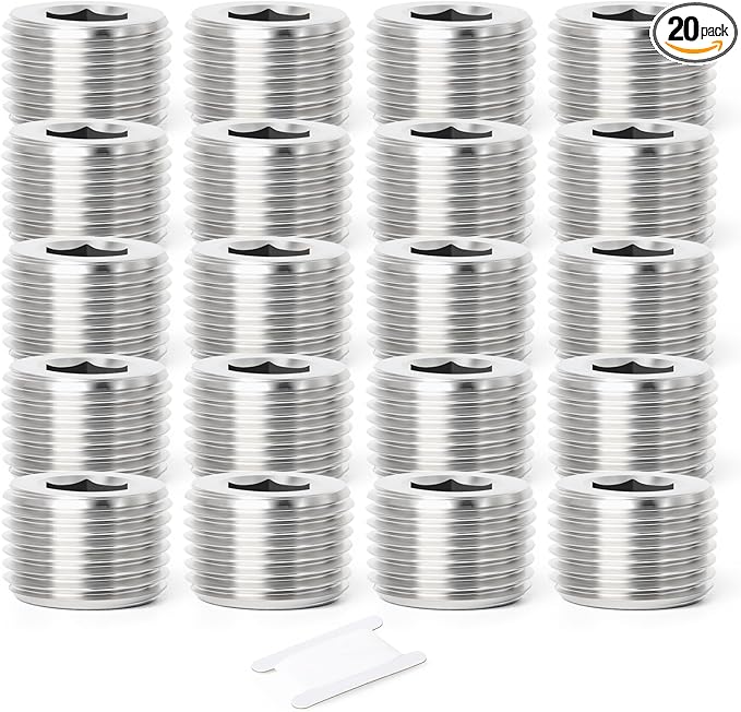 TAISHER 20PCS 304 Stainless Steel Internal Hex Thread Socket Pipe Plug Fitting 3/8" NPT Male