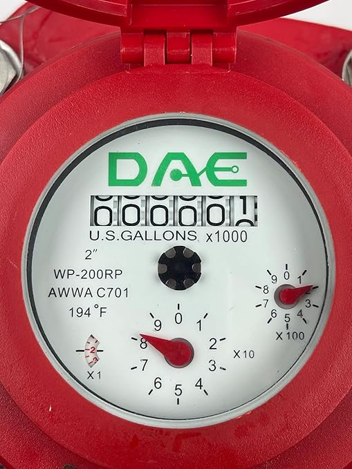 DAE WP-200RP 2" Woltmann Helix Hot Water Meter, Pulse Output, Gallons