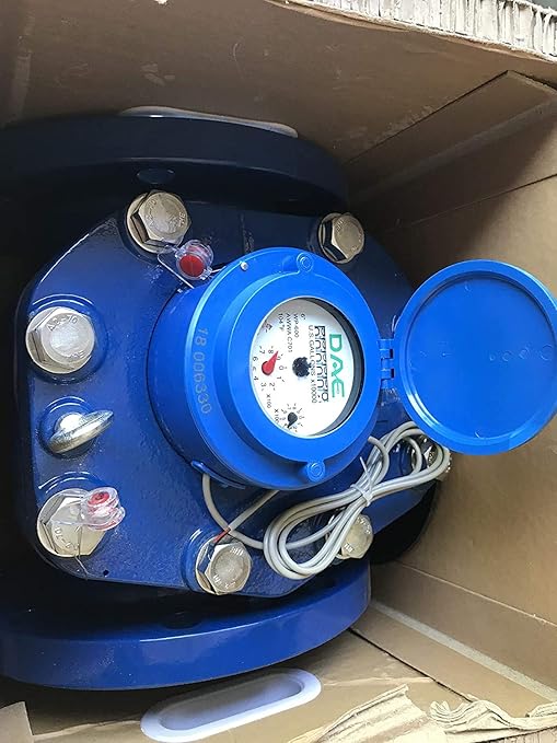 DAE WP-600P 6" Woltmann Helix Water Meter, Pulse Output, Gallon
