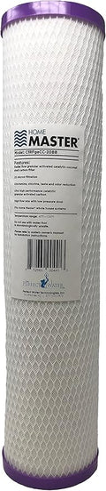 Home Master CfRFgaCC-20BB Replacement Whole House Water Filter, High Flow 20gpm, Radial Flow Granular Catalytic Carbon, 20" x 4.5" Fits Big Blue