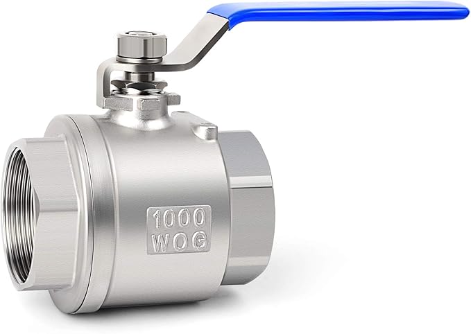 TAISHER 1 PCS 1 Inch FNPT Heavy Duty Full Porat Ball Valve 304 Stainless Steel with Blue Handles