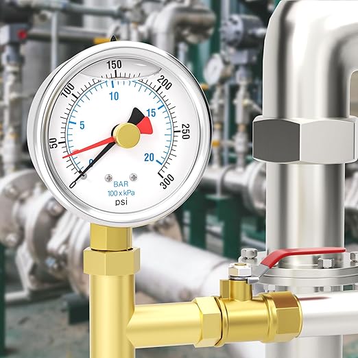 0-300PSI Stainless Steel with Reset Pointer Liquid Filled Pressure Gauge, 2.5" Dial Size, 1/4" NPT Lower Mount, for Tube, Water Pump, Gas, Liquid, Pressure Test