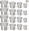 TAISHER 16PCS Stainless Steel Outer Hex Thread Socket Pipe Plug Fitting 1/8" 1/4" 3/8" 1/2" NPT Male