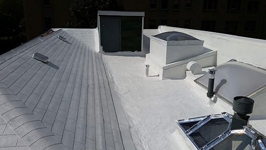 Rexoseal 2000 Waterproofing Roof Sealant - Liquid Rubber Coating System - Metal Roofs, Wood Roofs, Asphalt Shingle Roofs, Rubber Roofs and Rolled Roofs - Gray, 1 Gallon