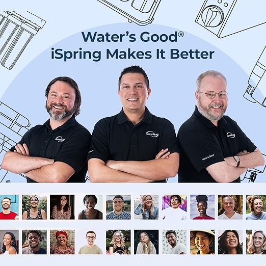 iSpring Anti-Scale Whole House Water Filter System, Reduces up to 99% Chlorine, Odor, and Sediments, 3-Stage Water Descaler and Water Filter, 1" Inlet/Outlet, Model: WGB31B-DS