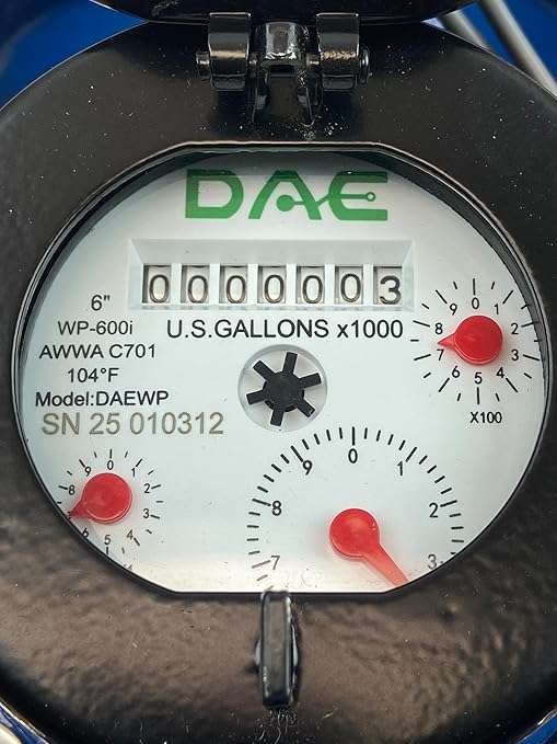 DAE WP-600i 6" Wastewater, Irrigation Water Meter, Pulse Output, Gallons