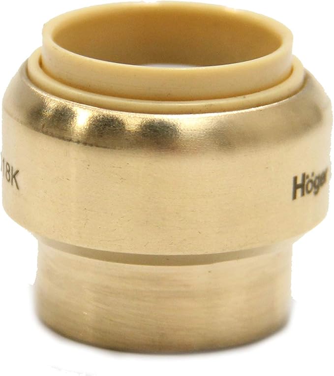 (Pack of 2) EFIELD 1 Inch Plug End Cap Push-Fit Fitting to Connect Pex, Copper, CPVC With Disconnect Clip,(PF101-2PCS)