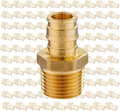 100 Pack PEX-A Fittings,3/4"x 3/4" Brass Expansion Male NPT Adapter,F1960 Male Threaded Adapter for Pex A Tubing(PEX1960018-100Pack)