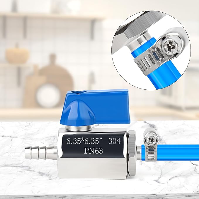 TAISHER 2PCS 304 Stainless Steel 1/4" Mini Ball Valve Shut Off Switch, 1/4” Hose Barb with 4PCS Hose Clamps