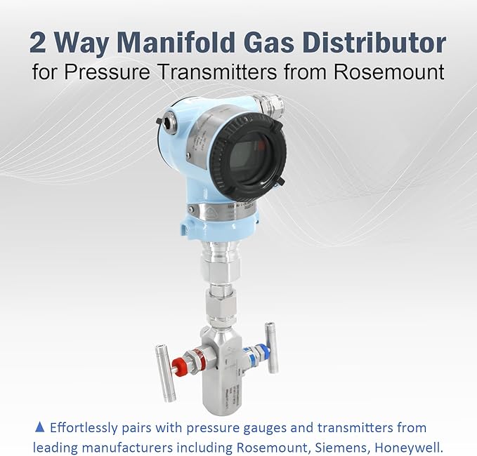 2-Valve Manifold – 316 Stainless Steel 2-Way High-Pressure Gas Distributor, Compatible with Pressure Gauges & Transmitters by Rosemount, Siemens, Honeywell, E+H.