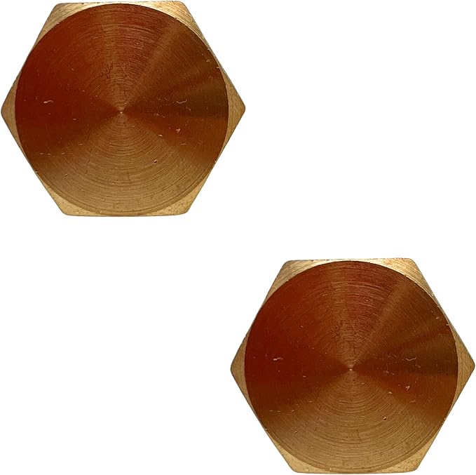 2 Pack Brass Pipe Plug 1/8" NPT Male Outer Hex Head Socket Plug Fitting for Plumbing by CX WONDERLAND