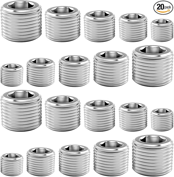 20 Pcs Stainless Steel Pipe Plug Fitting Assortment Kit, 5 Sizes 1/8" 1/4" 3/8" 1/2" 3/4" NPT Male Internal Hex Thread Socket Pipe Plug for Sealing Pipe Port