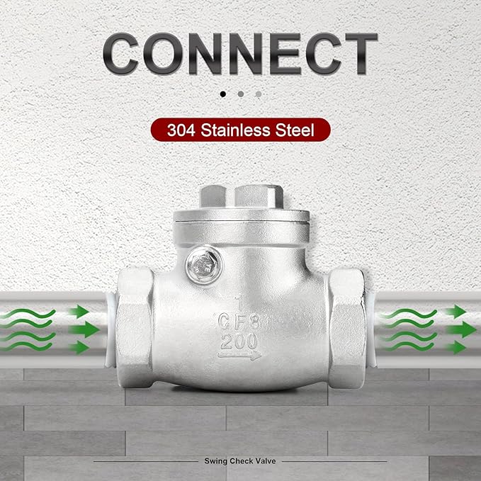 TAISHER 1PCS 304 Stainless Steel 1" NPT Female Swing Check Valve，Backflow Prevention, One Way Check Valve CF8 WOG 1000