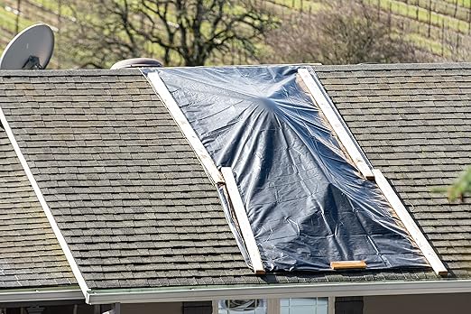Aluf Plastics Black Plastic Sheeting - 10' x 100', 6 MIL Heavy Duty Gauge - Vapor and Moisture Barrier Sheet Tarp/Drop Cloth for Painting, Furniture Covers, Carpet Cover, Floor, Paint, Painters
